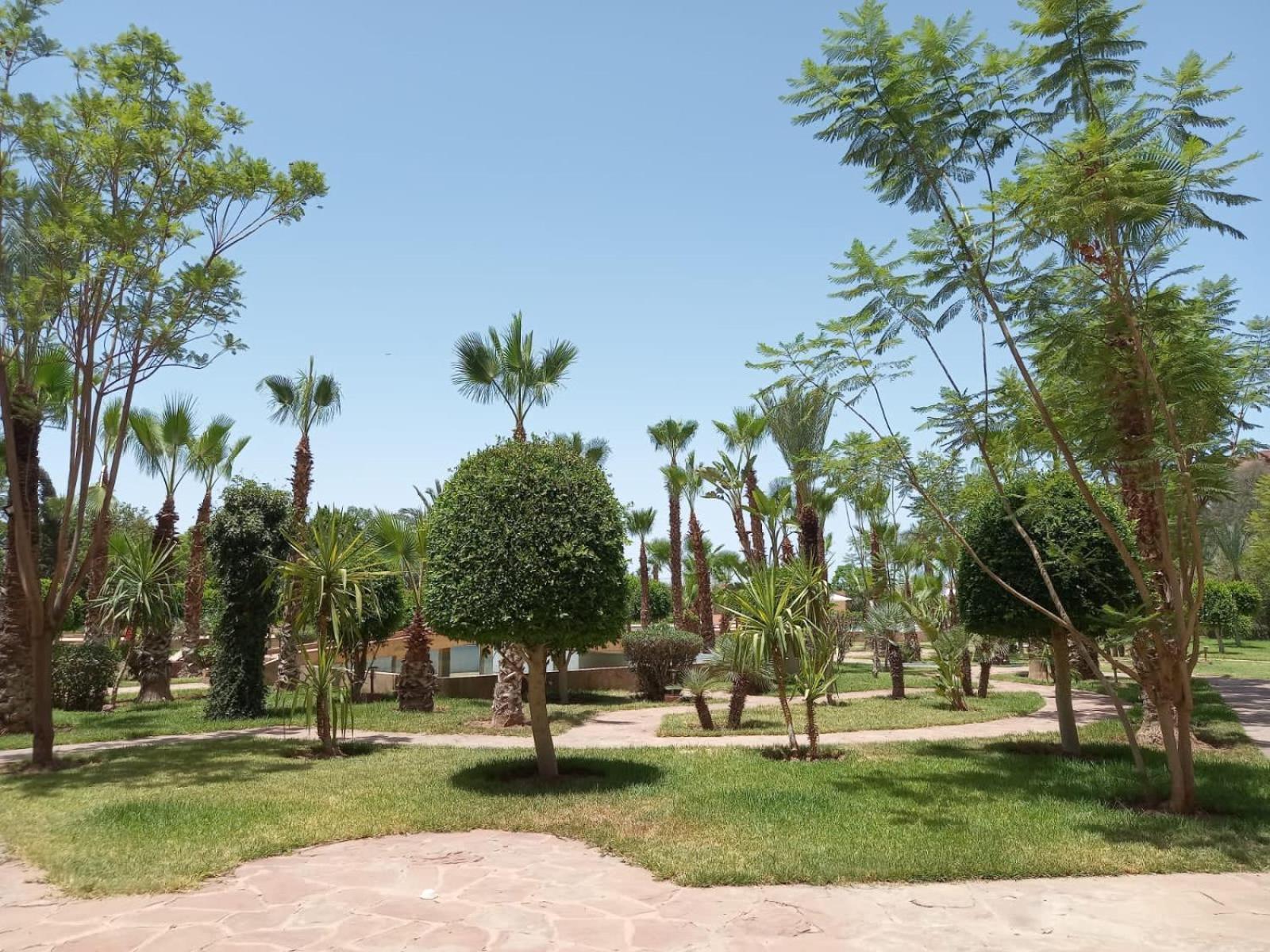 마라케시 Marrakech M Avenue Terrasse Jardin 아파트 외부 사진